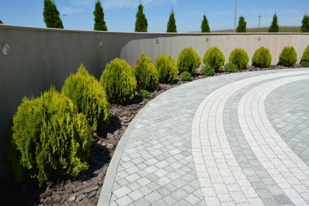 Best Concrete Paver Driveway  in Mills River, NC